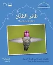Small Wonders: The Hummingbird: Level 3
