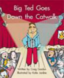 Springboard Lvl 13e: Big Ted Goes Down Ca