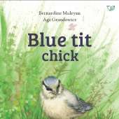Blue tit chick