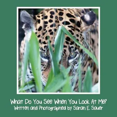 What Do You See When You Look at Me?