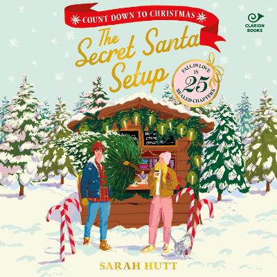 The Secret Santa Setup: Count Down to Christmas with 25 Sealed Chapters