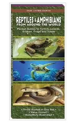 Reptiles & Amphibians from Around the World: Pocket Guides to Turtles, Lizards, Snakes, Frogs and Toads