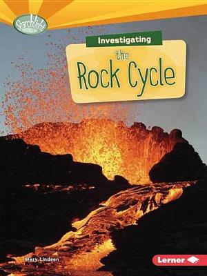 Investigating the Carbon Cycle