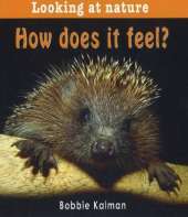 How Does It Feel