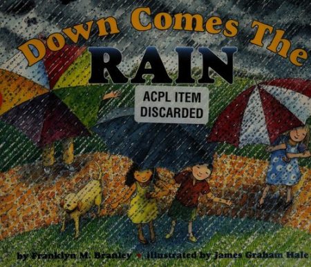 Down Comes the Rain