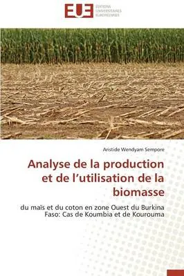Analyse de La Production Et de L Utilisation de La Biomasse