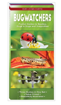 Bugwatchers: Pocket Guides to Beetles, Bugs and Slugs and Dragonflies