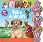 Baby Animals