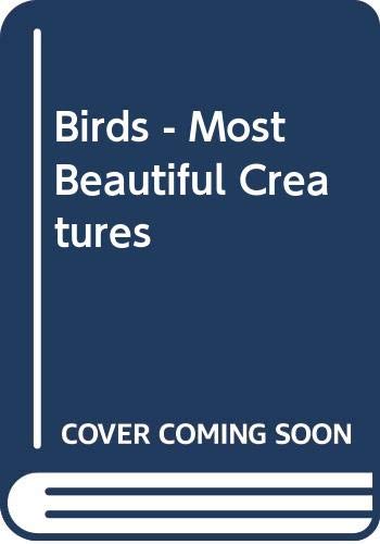 Birds - Most Beautiful Creatures