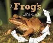 A Frog's Life Cycle