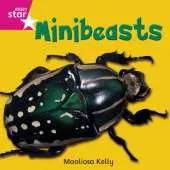 Rigby Star Independent Reception/P1 Pink Level: Minibeasts (3 Pack)