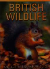British Wildlife