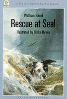 Rescue at Sea!