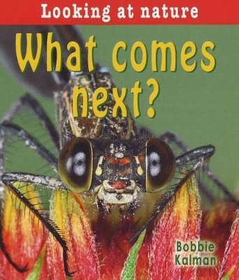 What Comes Next