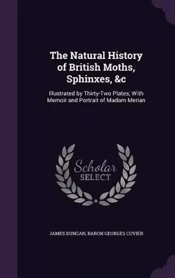 The Natural History of British Moths, Sphinxes, &c: Illustrated by Thirty-Two Plates; With Memoir and Portrait of Madam Merian