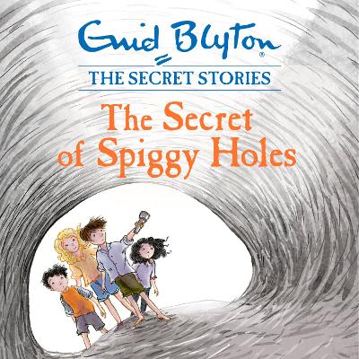 The Secret of Spiggy Holes: Book 2