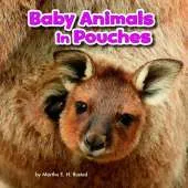 Baby Animals and Their Homes Pack A of 4