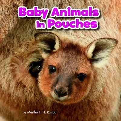Baby Animals and Their Homes Pack A of 4