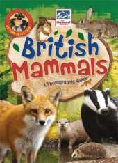 Nature Detective: British Mammals