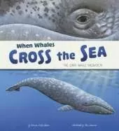 When Whales Cross the Sea: The Grey Whale Migration
