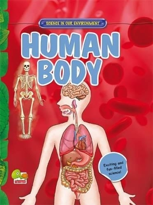 Human Body: Key stage 2