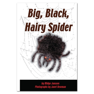Big, Black, Hairy Spider