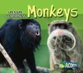 Monkeys