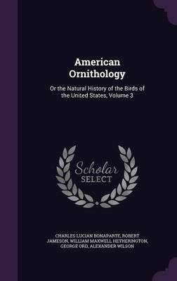 American Ornithology: Or the Natural History of the Birds of the United States, Volume 3