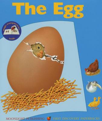 Egg