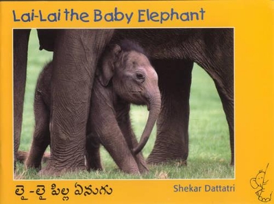 Lai Lai the Baby Elephant