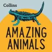 Amazing Animals: For Ages 7–11