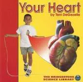 Your Heart