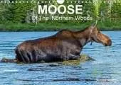 MOOSE Of The Northern Woods 2019: Let's follow the moose of Quebec northern woods. Philippe Henry presents 13 photos of this silent giant.