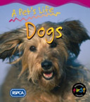 Dogs