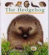 The Hedgehog