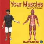 Your Muscles