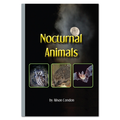 Nocturnal Animals