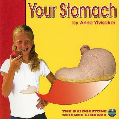 Your Stomach
