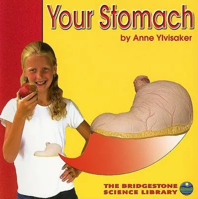 Your Stomach