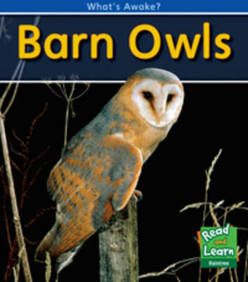 Barn Owls