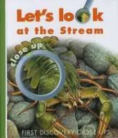 Let's Look at the Stream