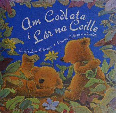 Am Codlata I Lar Na Coille