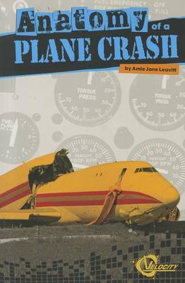 Anatomy of a Plane Crash