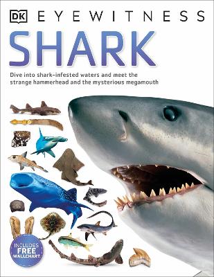 Shark
