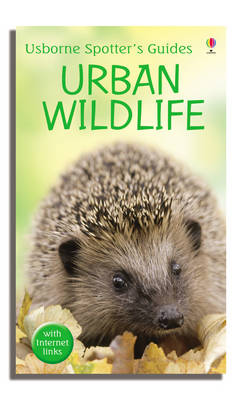 Urban Wildlife