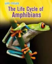 Life Cycles Pack A of 4