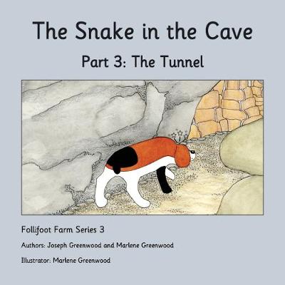 The Tunnel