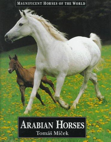 Arabian Horses
