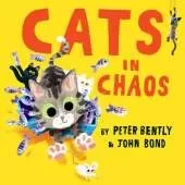 Cats in Chaos