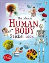 Human Body Sticker Book